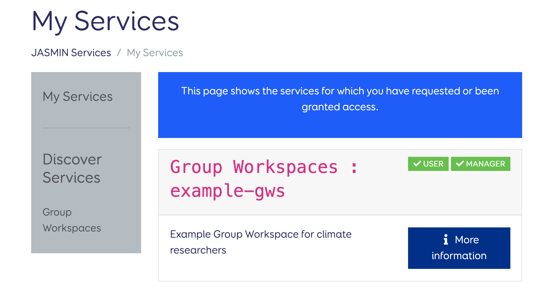 The 'My Services' page showing the services a user has been granted access to. There is a green icon next to the name of the 'example-gws' service, indicating that the user has an active `MANAGER` grant.
